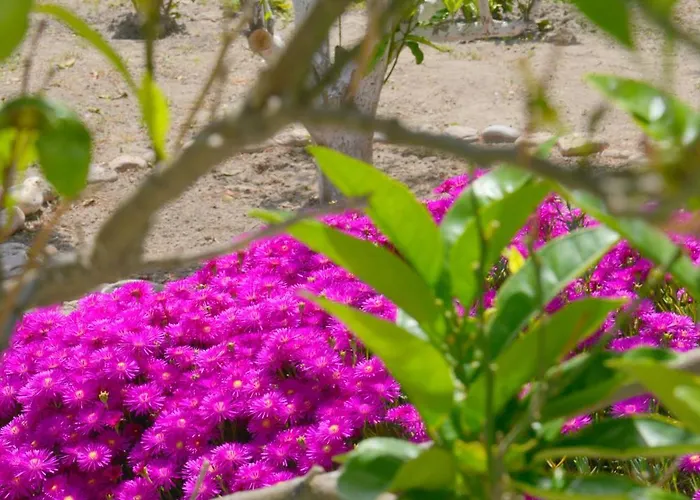 Gemilos Nook Apartment Adamantas (Milos)