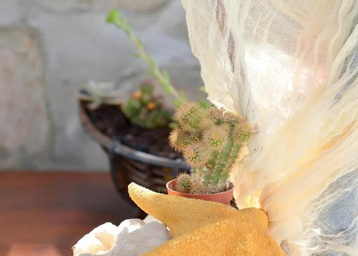 Gemilos Nook Apartamento